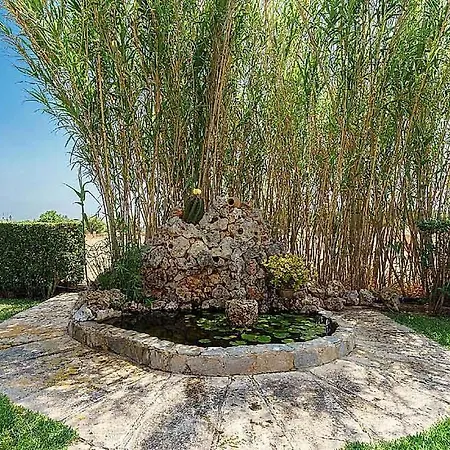Finca Santa Eulalia Petit